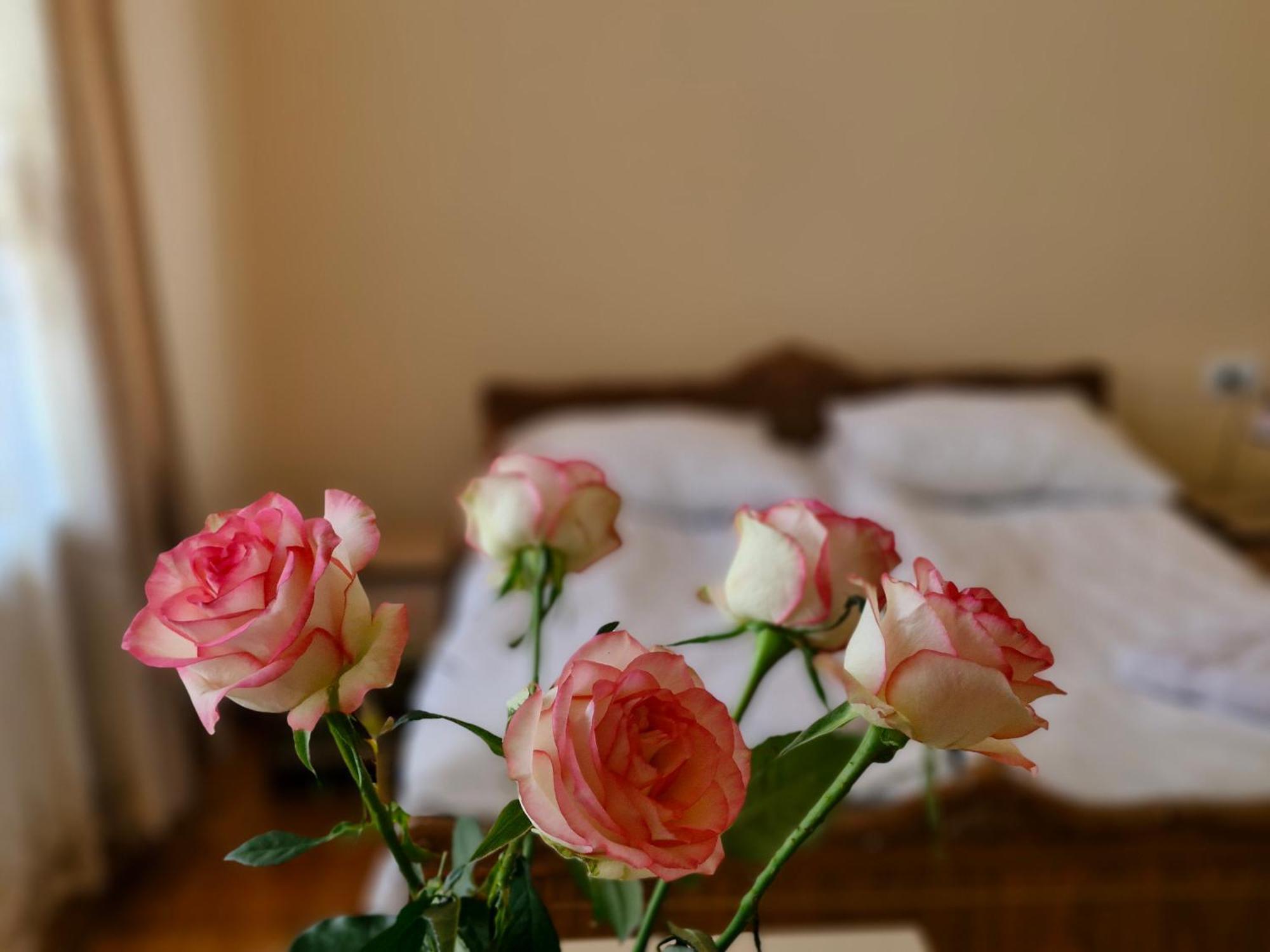 Guest House David'S B&B Gyumri Exterior foto