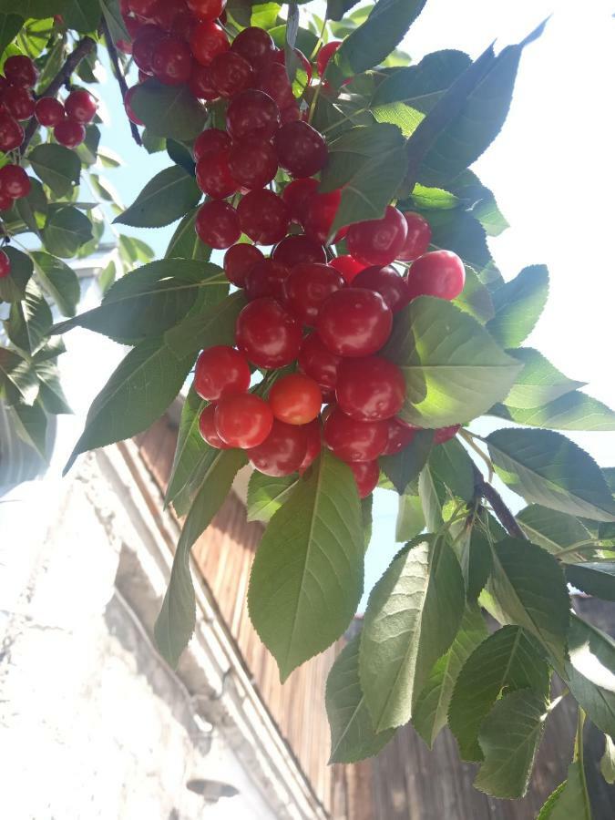 Guest House David'S B&B Gyumri Exterior foto